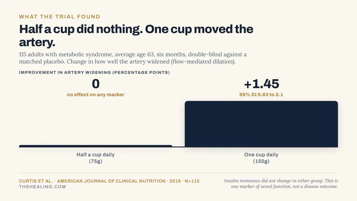 Bar chart showing half a cup of blueberries daily produced no effect while one cup daily improved artery widening by 1.45 percentage points