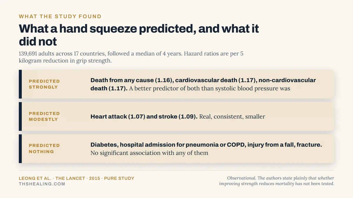 Evidence ladder showing grip strength predicted death from any cause, cardiovascular and non-cardiovascular death strongly, heart attack and stroke modestly, and diabetes, pneumonia, falls and fractures not at all