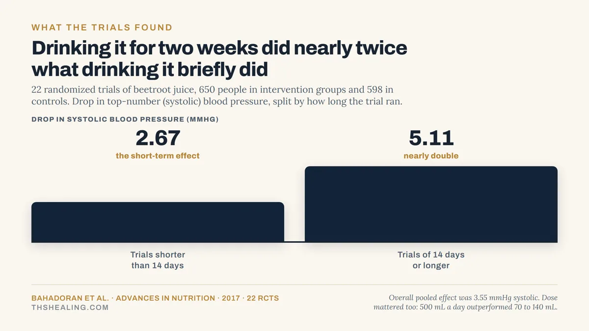 Bar chart showing trials under 14 days found a 2.67 mmHg drop and trials of 14 days or more found 5.11 mmHg