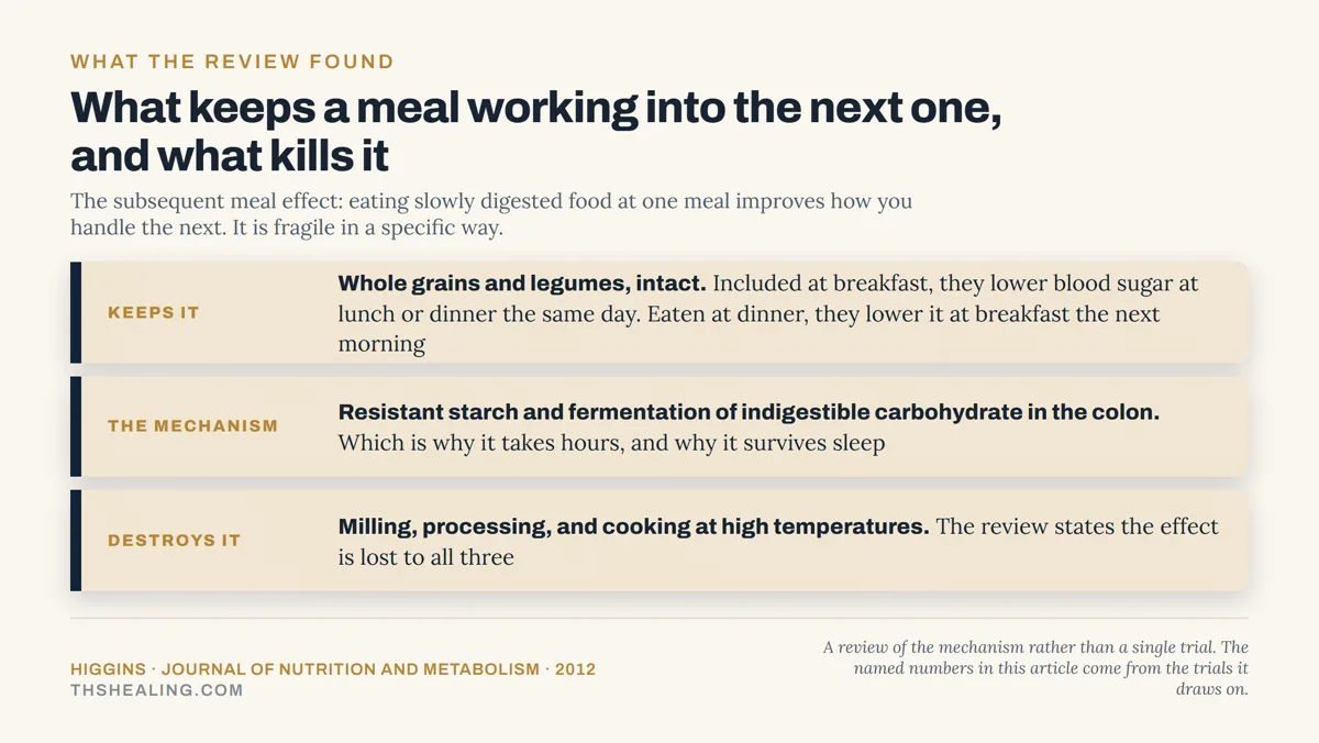 Evidence ladder showing intact whole grains and legumes keep the second meal effect, fermentation is the mechanism, and milling, processing and high-heat cooking destroy it