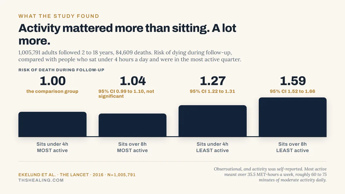 Bar chart showing risk of death of 1.00 for low sitting and high activity, 1.04 for high sitting and high activity, 1.27 for low sitting and low activity, and 1.59 for high sitting and low activity