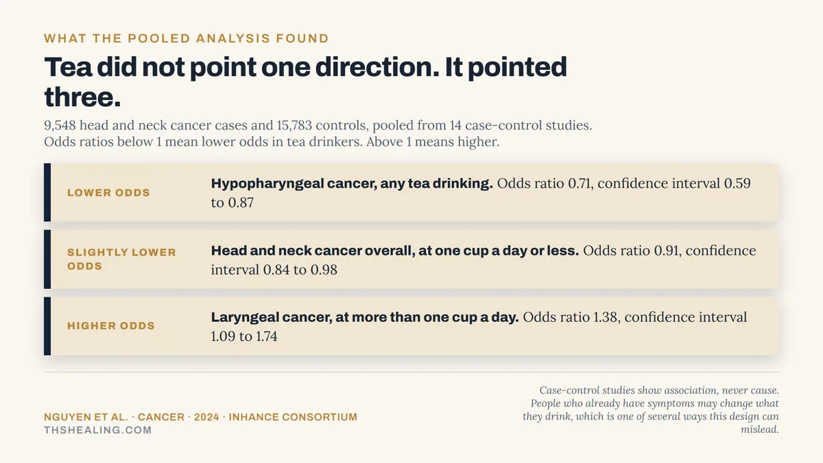 Evidence ladder showing tea associated with lower odds of hypopharyngeal cancer, slightly lower odds of head and neck cancer at one cup a day, and higher odds of laryngeal cancer above one cup a day
