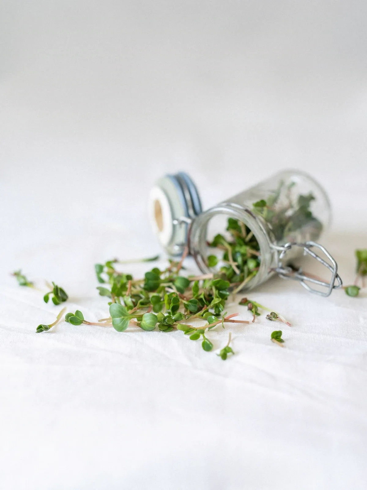Broccoli sprouts spilling from a tipped glass jar onto a white cloth